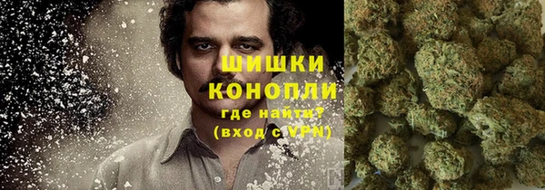 первитин Новодвинск