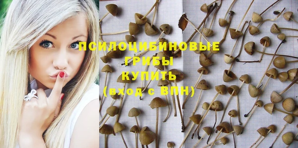 винт Алексин