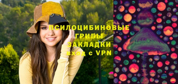 молекула духа Алексеевка
