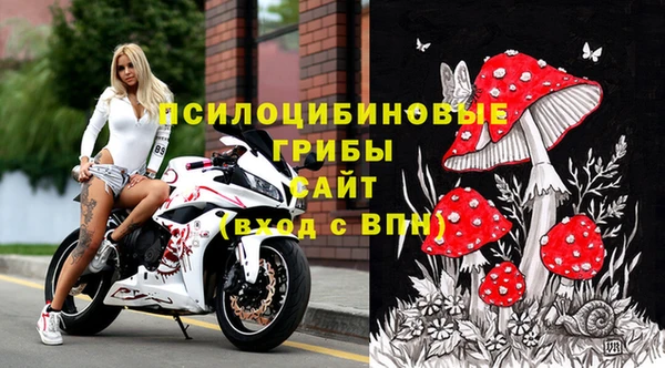 скорость Алзамай