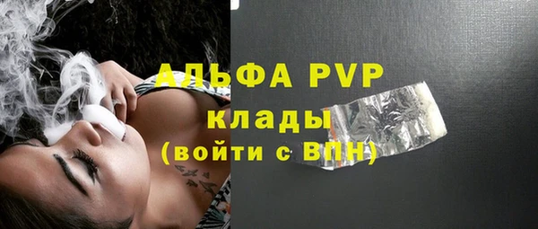 винт Алексин