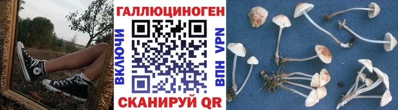 Псилоцибиновые грибы прущие грибы мега вход Дудинка даркнет сайт